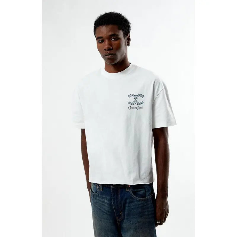 Pacsun Men's Creative Capital Cropped Boxy T-Shirt